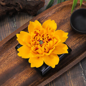 pivoine jaune